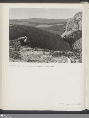 Ein Konglomeratfelsen des "Felsenschlags"; im Hintergrund die Oberhofer Höhe