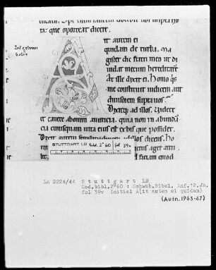 Bibel — Initiale A (it autem ei quidam), Folio 39 verso
