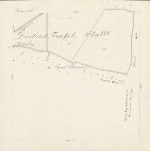 Section Nr. 6