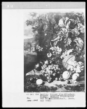 Fruchtstück vor Felsenlandschaft