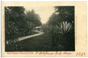 Pomona, Cal. A California Park Scene