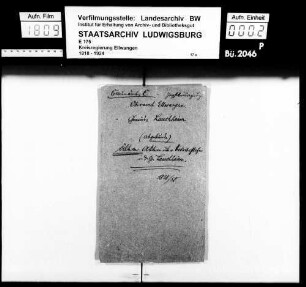 Ortsvorsteher der Stadtgemeinde Lauchheim