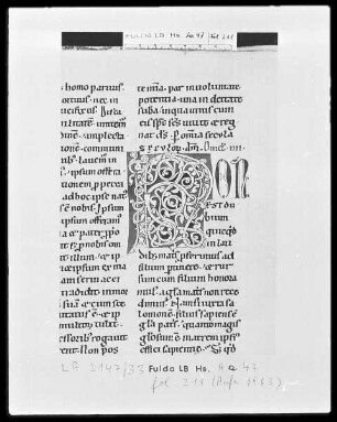 Bernhard von Clairvaux, Sermones in Cantitum Canticorum — Initiale N (on), Folio 211 recto