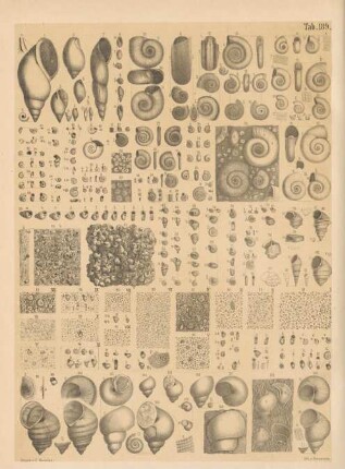 Tab. 189