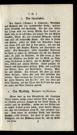 2. Der Wallfisch, Balaena mysticetus.