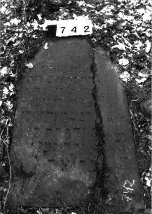 Grabstein 742