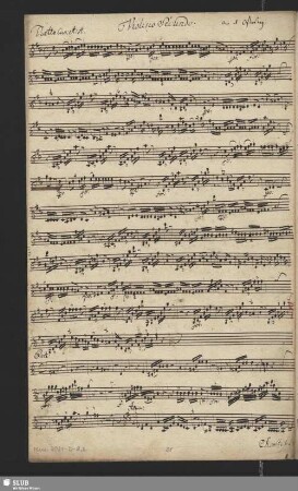 Violino secundo.