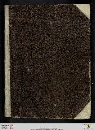 Iurisprudentia Salemitano-canonica