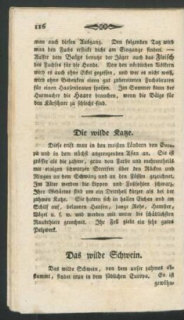 Die wilde Katze