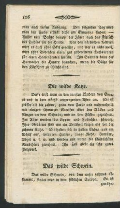 Die wilde Katze