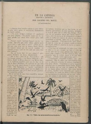 En la ciénaga. (Continuación) : Novela inédita.