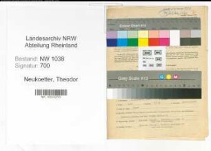 Entnazifizierung Theodor Neukoetter , geb. 05.09.1903 (Bankangestellter)