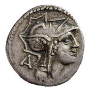 Münze, Denar, 91 v. Chr.