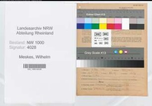 Entnazifizierung Wilhelm Meskes, geb. 04.02.1881 ()