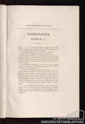 Traité des arbres fruitiers. Citronnier. Citrus. Lin.