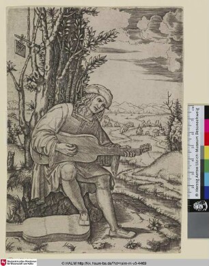 [Le joueur de guitarre; Der Gitarrenspieler (alt); Porträt Giovanni Filoteo Achillini (neu)]