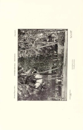 Plate LXI. North-central province. Kinihiri-Kanda. Temple premises.