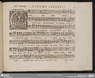 XIV. Cantate Domino canticum novum