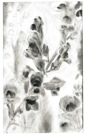 Löwenmäulchen : Gelbke, Georg: Löwenmäulchen. 1927. Aquarell; 48 x 29 cm. Privatbesitz