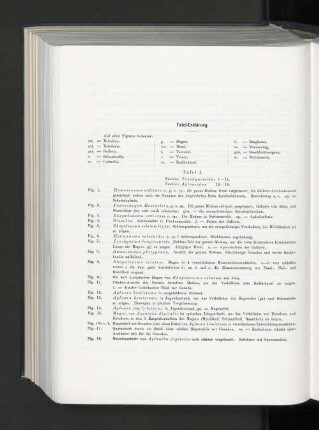 Tafel-Erklärung.