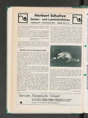 Der Kater, der auf dem Rücken schlief
