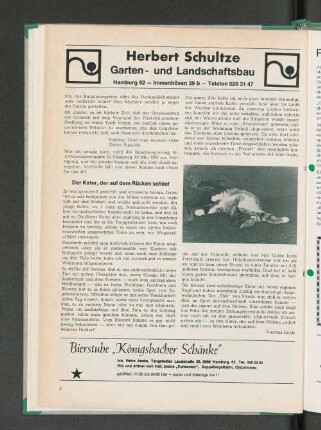 Der Kater, der auf dem Rücken schlief
