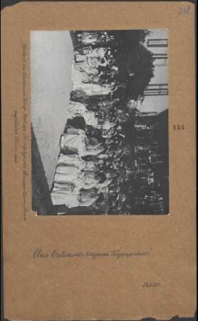 Hochzeit des Kaisers und Königs Karl als Thronfolger mit Prinzessin Zita von Parma auf Schloß Schwarzau