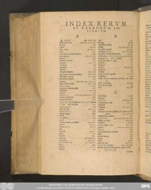 Index Rerum Et Verborum Insignium.