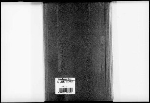 Gesetz zum Schutz des Parlaments sowie Gesetz zur Befriedung des Reichstagsgebäudes: Bd. 1