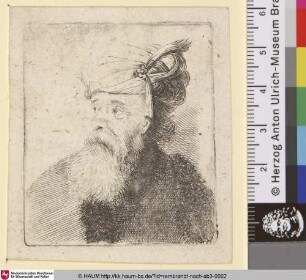 [Brustbild eines bärtigen Greises mit Turban und Agraffe]