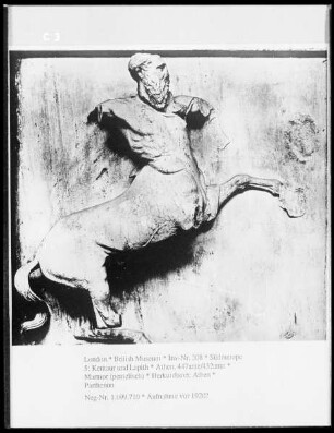 Südmetope 5: Kentaur und Lapith