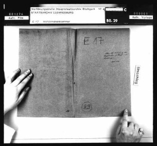 Köngen und Wendlingen: Verpachtung der herrschaftl. Schäfereigüter