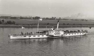 Personen-Seitenraddampfer "Salesel" (1894, Werft Blasewitz). Schrägansicht bei Fahrt elbabwärts bei Pratzschwitz