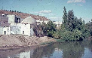 Hama Am Fuß d. Citadelle