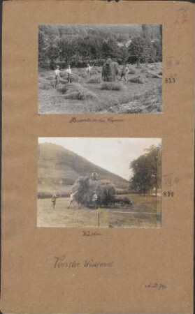 Heuernte in den Vogesen
