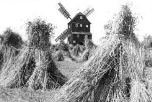 Oderwitz-Oberoderwitz. Berndtmühle, Erntezeit, Repro