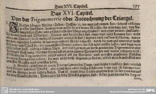 Das XVI. Capitel. Von der Trigonometrie oder Ausrechnung der Triangel.