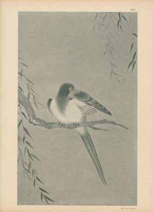 CCJ. Kakemono