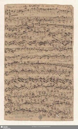 Violino in unisono