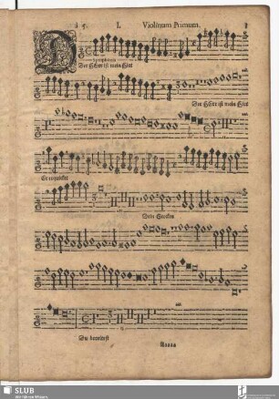 [Concerti Ibis XIX]