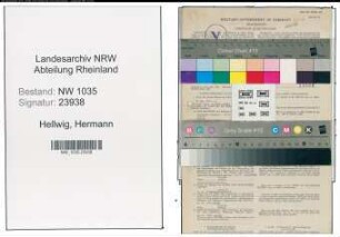 Entnazifizierung Hermann Hellwig , geb. 29.07.1893 (Kaufmaennischer Angestellter)