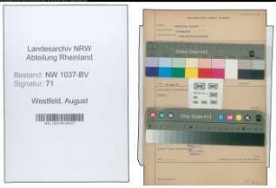 Entnazifizierung August Westfeld , geb. 06.09.1886 (Baumeister)