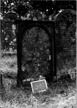 Grabstein 213 [Nir S. 147 Nr. 14.23]