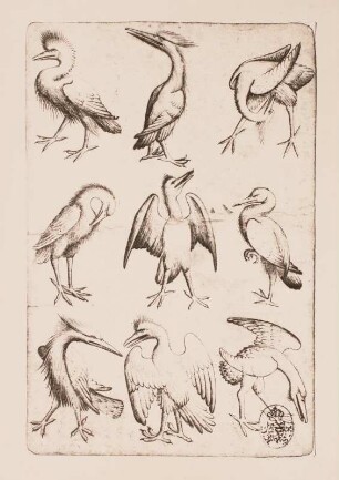 Vogel-Neun