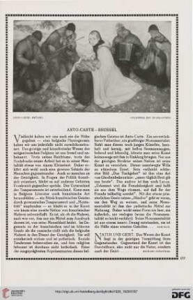 Anto-Carte - Brüssel
