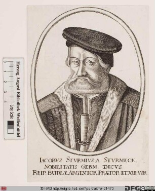 Bildnis Jacob Sturm (von Sturmeck)