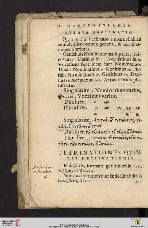 Terminationes qvintae declinationis