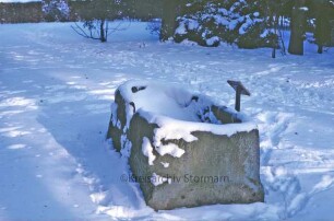 Kurpark: Steinwanne im Winter
