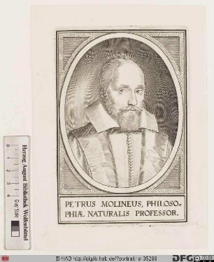 Bildnis Pierre Dumoulin (lat. Petrus Molinaeus)