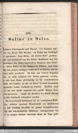 XIX. Saline zu Salso